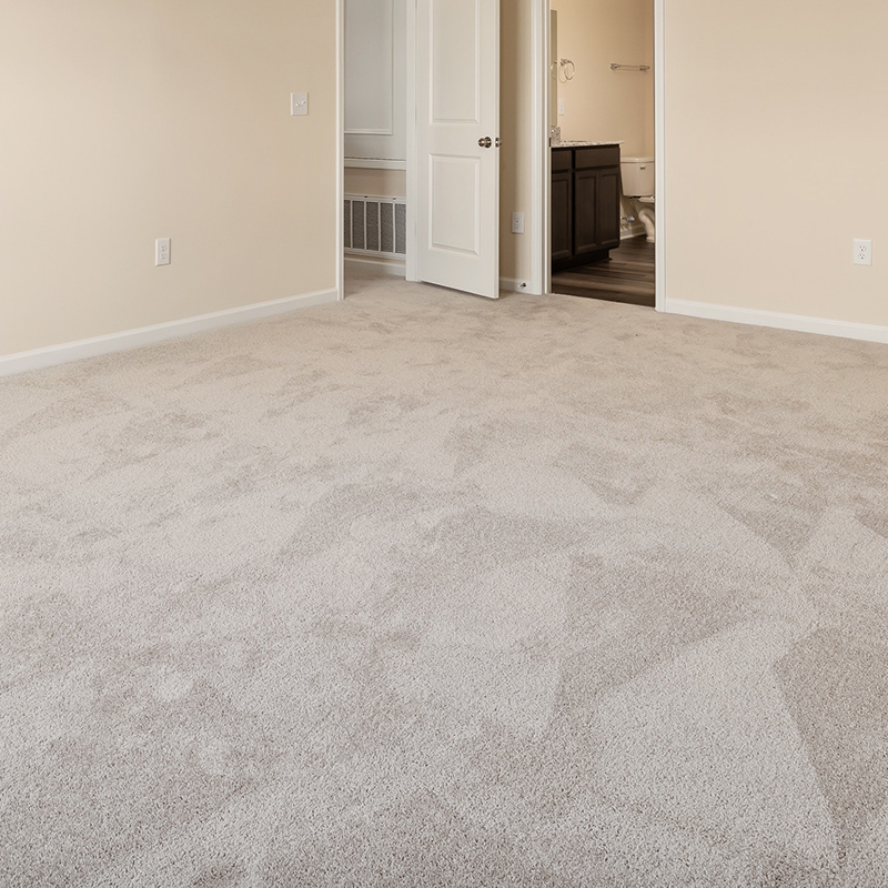 5 things individuals most be sorry for about their carpet